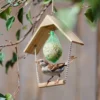 Vogelschaukel